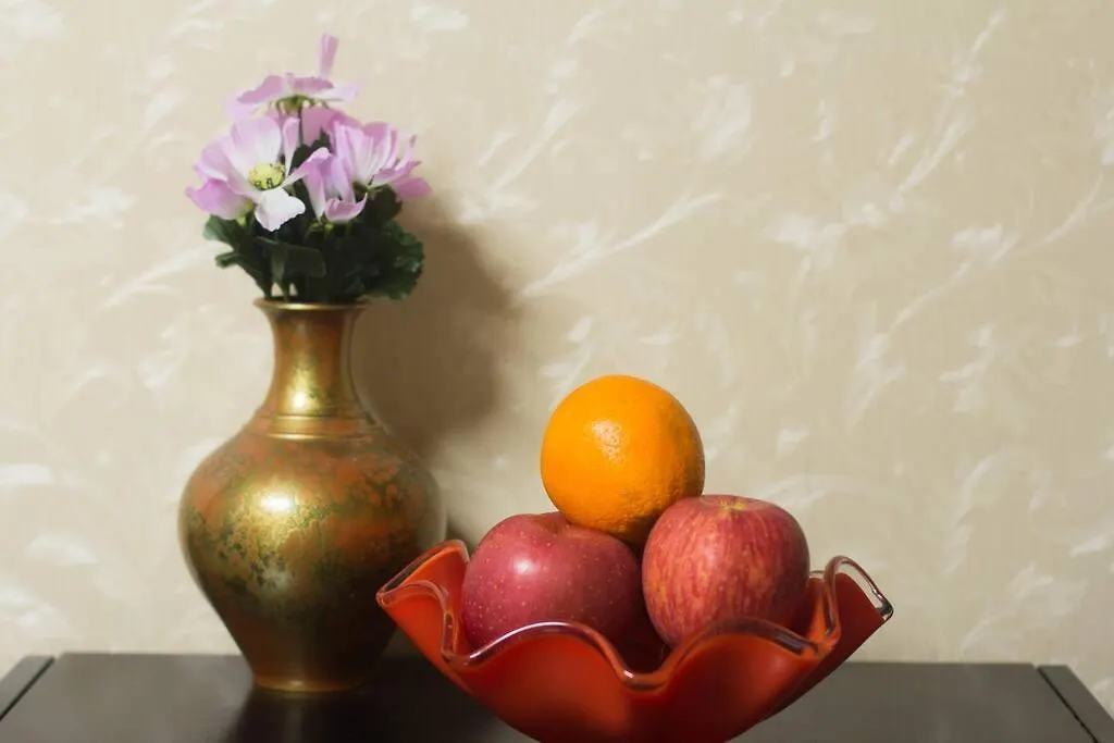 Mochida'S Guest House Tokyo