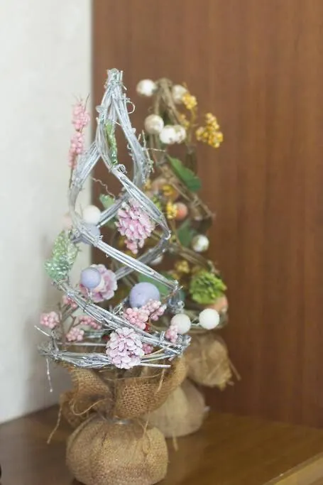 Mochida'S Guest House Tokyo Japan